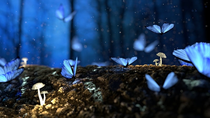 Fantasy forest landscape